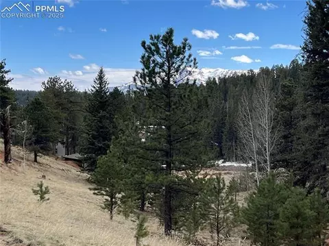 194 Rainbow Trl, Divide, CO 80814 photo 8