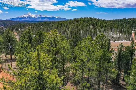 194 Rainbow Trl, Divide, CO 80814 photo 27