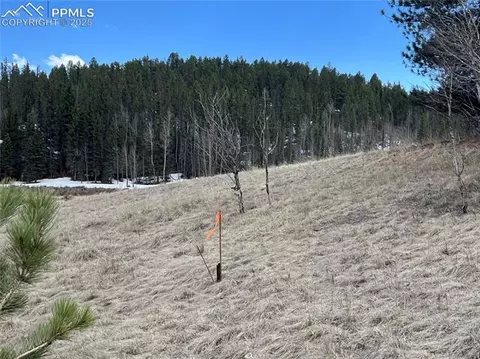 194 Rainbow Trl, Divide, CO 80814 photo 38