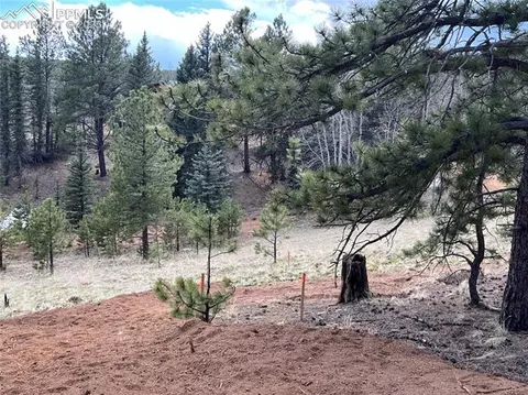 194 Rainbow Trl, Divide, CO 80814 photo 15