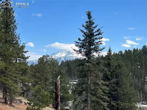 194 Rainbow Trl, Divide, CO 80814 photo 11