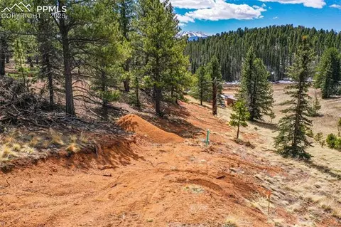 194 Rainbow Trl, Divide, CO 80814 photo 33