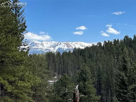 194 Rainbow Trl, Divide, CO 80814 photo 7
