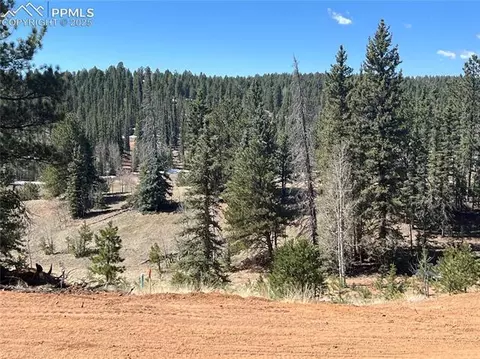 194 Rainbow Trl, Divide, CO 80814 photo 17
