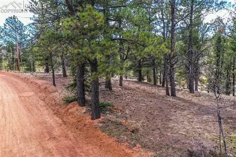 194 Rainbow Trl, Divide, CO 80814 photo 35