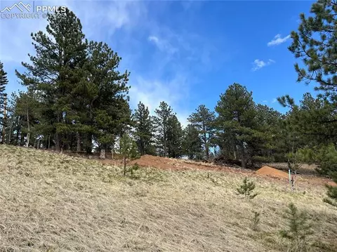 194 Rainbow Trl, Divide, CO 80814 photo 14