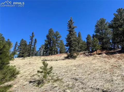 194 Rainbow Trl, Divide, CO 80814 photo 19