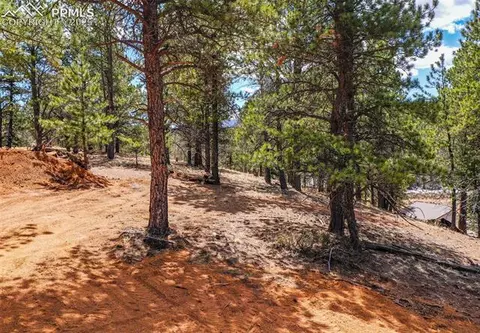 194 Rainbow Trl, Divide, CO 80814 photo 32