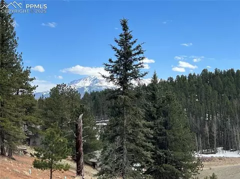 194 Rainbow Trl, Divide, CO 80814 photo 9