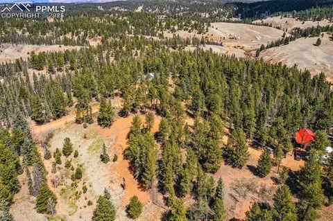 194 Rainbow Trl, Divide, CO 80814 photo 29