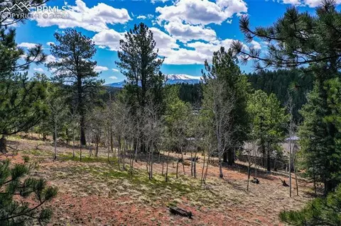 194 Rainbow Trl, Divide, CO 80814 photo 25