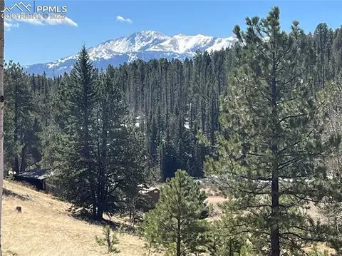 194 Rainbow Trl, Divide, CO 80814