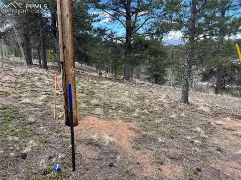 194 Rainbow Trl, Divide, CO 80814 photo 37