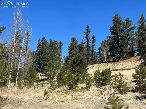 194 Rainbow Trl, Divide, CO 80814 photo 20