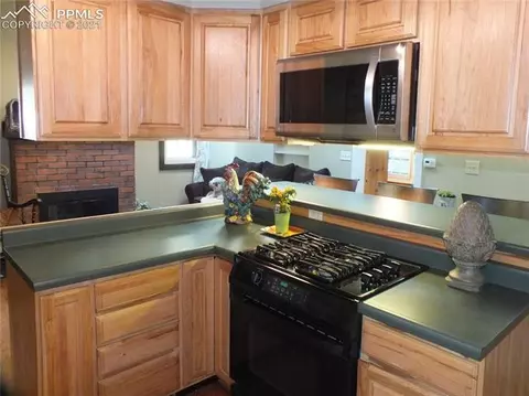 9405 Ute Rd, Cascade, CO 80809 photo 5