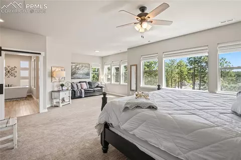 Bedroom - 16231 Thunder Cat Way, Monument, CO 80132 photo 1 of 8