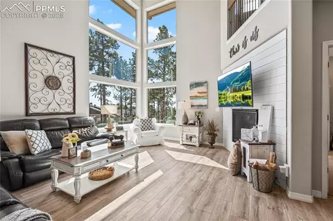 Living - 16231 Thunder Cat Way, Monument, CO 80132 photo 1 of 3