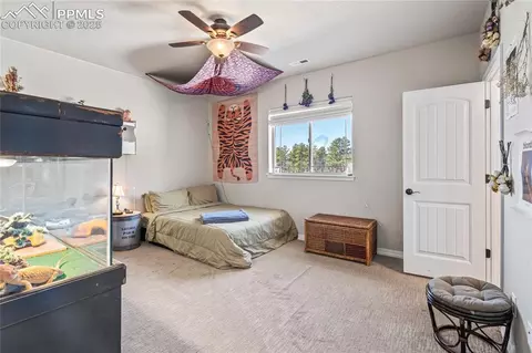 Bedroom - 16231 Thunder Cat Way, Monument, CO 80132 photo 3 of 8