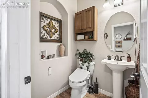 Other - 16231 Thunder Cat Way, Monument, CO 80132 photo 8 of 12