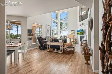 Other - 16231 Thunder Cat Way, Monument, CO 80132 photo 9 of 12