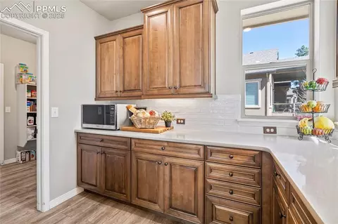 Other - 16231 Thunder Cat Way, Monument, CO 80132 photo 3 of 12