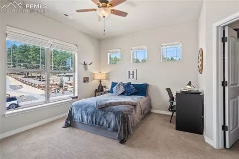 Bedroom - 16231 Thunder Cat Way, Monument, CO 80132 photo 4 of 8