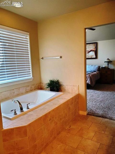 17875 Mining Way, Monument, CO 80132 photo 11