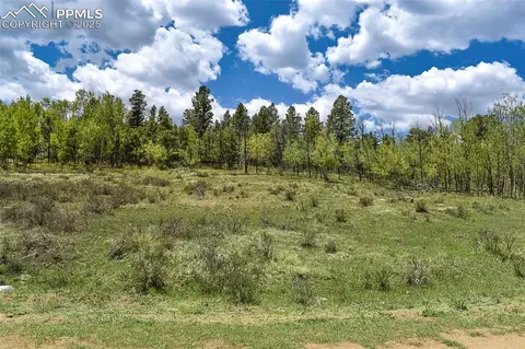 130 Rock Dr, Guffey, CO 80820