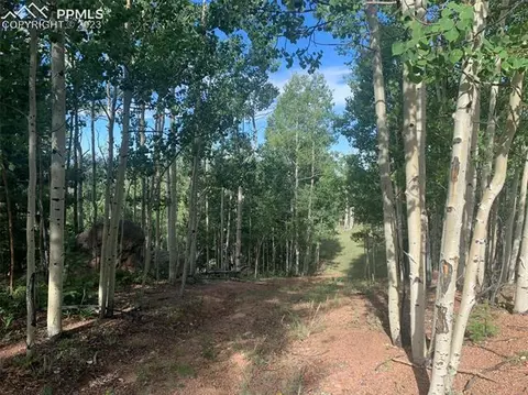 72 73 Tipton Pl, Cripple Creek, CO 80813