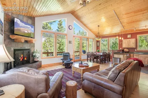 416 Foxtail Dr, Fairplay, CO 80440