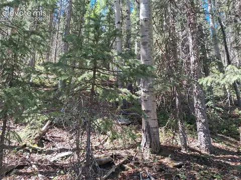 2462 Anges Dr, Cripple Creek, CO 80813