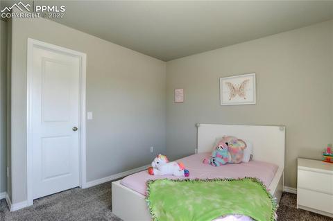 10946 Avena Dr, Peyton, CO 80831 photo 17