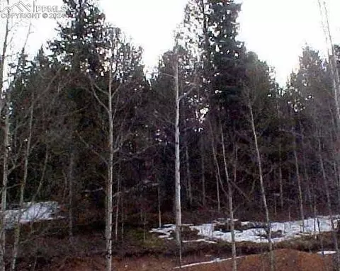 210 Willow Rd, Divide, CO 80814 photo 1