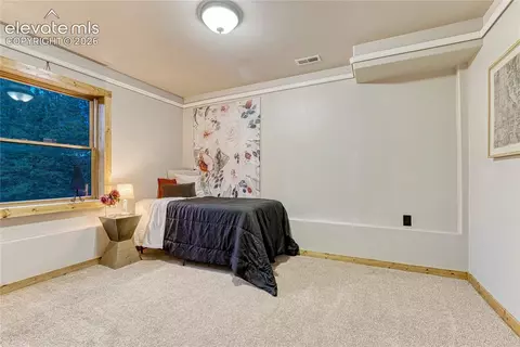 78 Barr Lake Cir, Divide, CO 80814 photo 46
