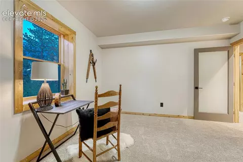 78 Barr Lake Cir, Divide, CO 80814 photo 42