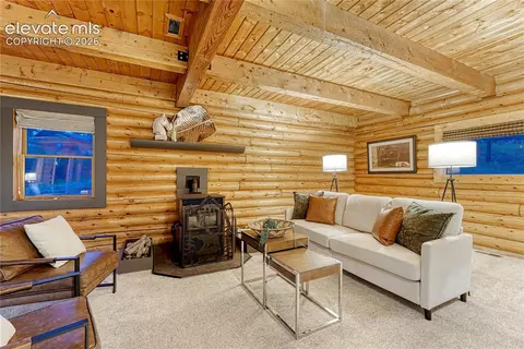 78 Barr Lake Cir, Divide, CO 80814 photo 20
