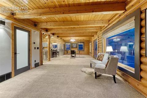 78 Barr Lake Cir, Divide, CO 80814 photo 12