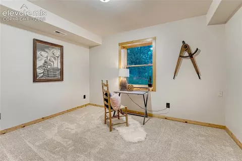 78 Barr Lake Cir, Divide, CO 80814 photo 41