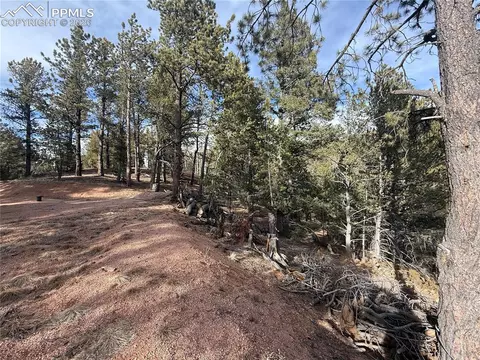 162 Eagle Dr, Divide, CO 80813 photo 5