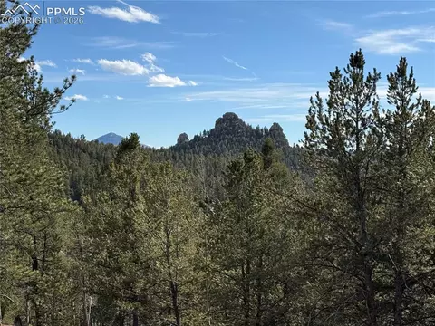 162 Eagle Dr, Divide, CO 80813 photo 3