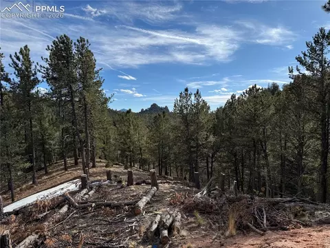 162 Eagle Dr, Divide, CO 80813 photo 2