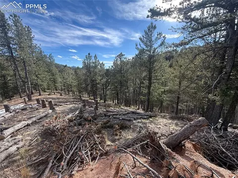 162 Eagle Dr, Divide, CO 80813 photo 6