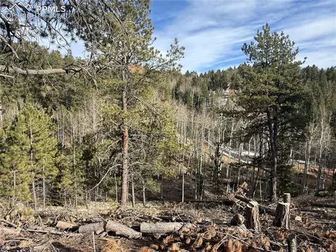 162 Eagle Dr, Divide, CO 80813 photo 4