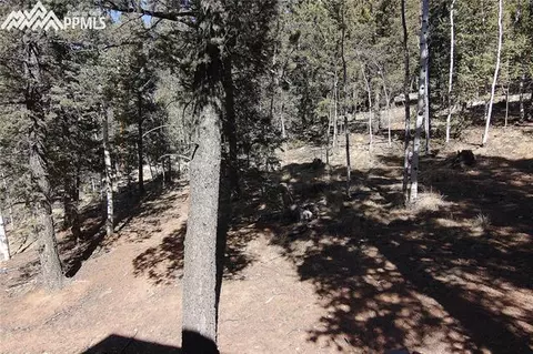 377 Ridge Rd, Divide, CO 80814 photo 35