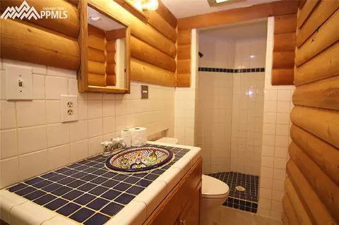 377 Ridge Rd, Divide, CO 80814 photo 24