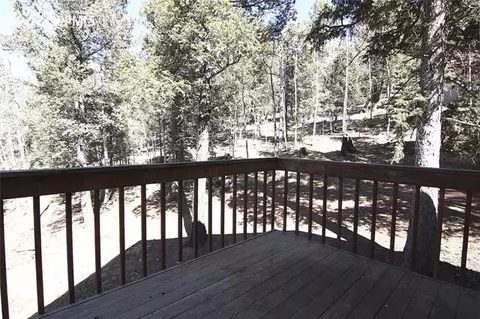 377 Ridge Rd, Divide, CO 80814 photo 15