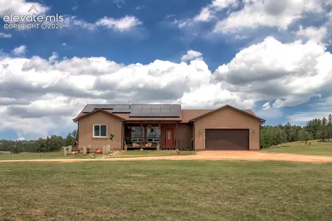 378 High Pasture Rd, Florissant, CO 80816