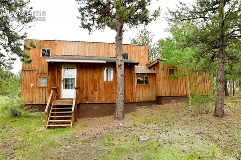 3800 Doe Valley Rd, Guffey, CO 80820