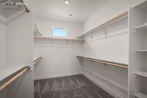 Other - 1109 White Clover Dr, Monument, CO 80132 photo 6 of 13