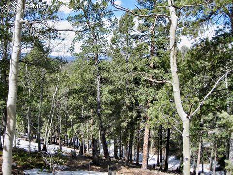 659 Paradiso Rd, Divide, CO 80814 photo 10